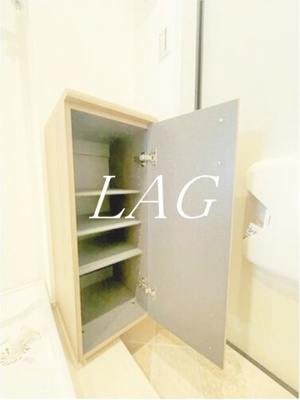 【玄関】 | Ｌｕｍｉｎｏｓｕｓ新百合山手 | 玄関です。