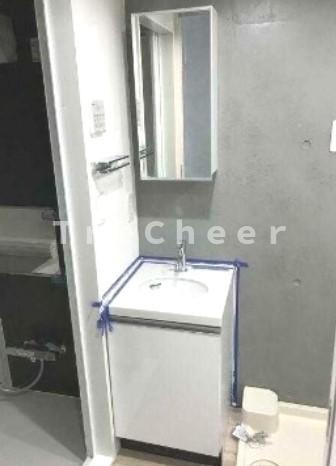 ラフォート巣鴨の独立洗面台