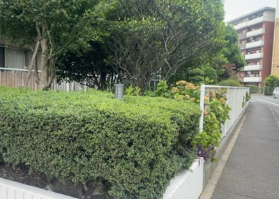 【中庭】 | ライフプラザ相模原 | 中庭（パティオ）とは、一つの建築物の内部に設けられた、壁などで囲われている庭のことを指します。コの字型、ロの字型が主流ですが、L字型の中庭もあります。最近では、インテリア性の高さからも人気があります。