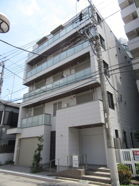 New Safole 蕨
