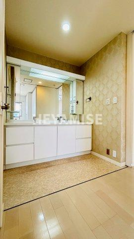 住吉の杜 泉一丁目戸建の洗面所