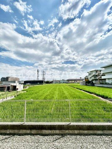 サンリット サピーの展望