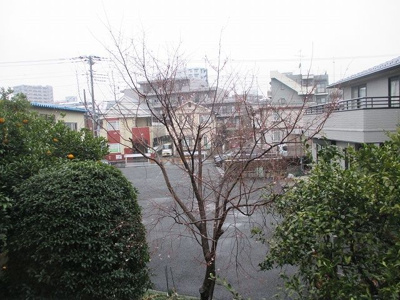 【展望】 | 風香535