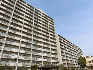  | 浅香山グリーンマンション（東浅香山小学校）