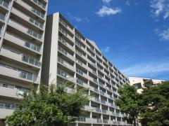  | 浅香山グリーンマンション（東浅香山小学校）