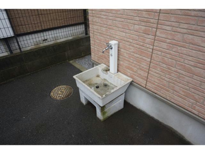 【その他】 | ジャスミン