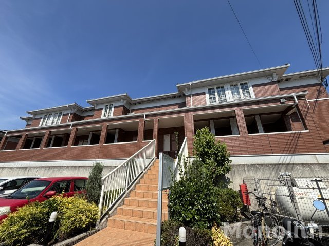 プリムローズT・K