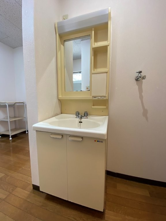 センチュリーハウス津志田Aの洗面所