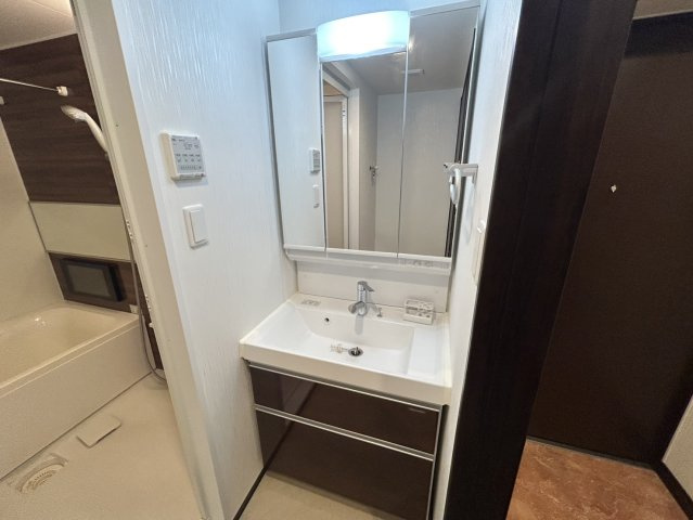 プレジオ弁天町の洗面所