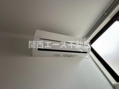  | D porta mild
