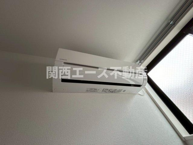 | D porta mild