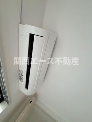  | D porta mild