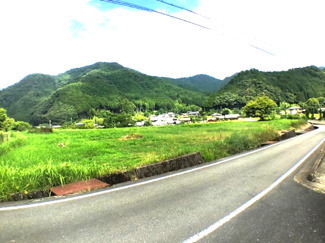 【前面道路含む現地写真】 | 青田売り畑