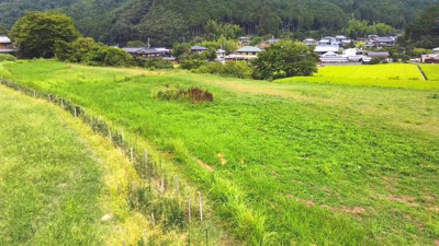 【外観】 | 青田売り畑