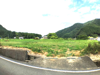 【前面道路含む現地写真】 | 青田売り畑
