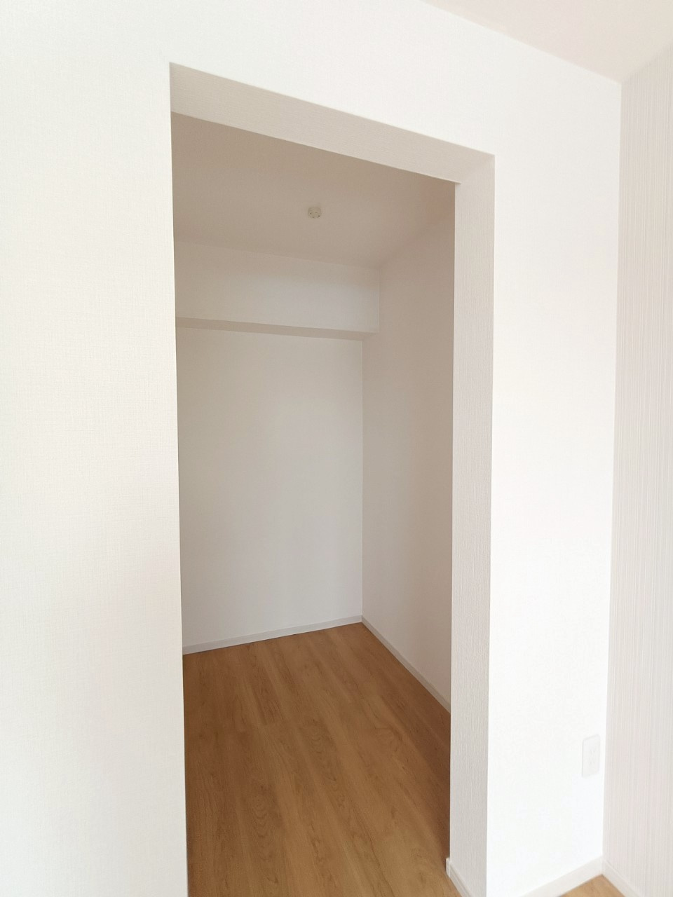 八潮市　八條　新築戸建　全1棟の収納|施工例です