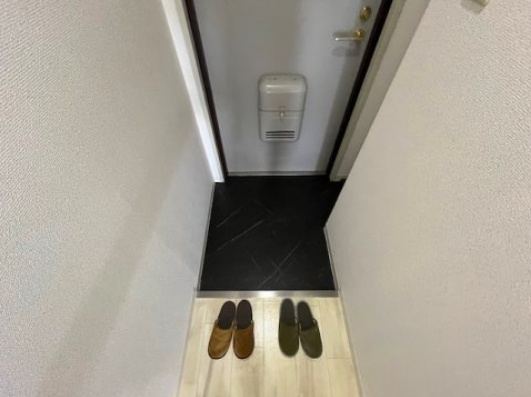 ヒカリハイツドイⅡの玄関