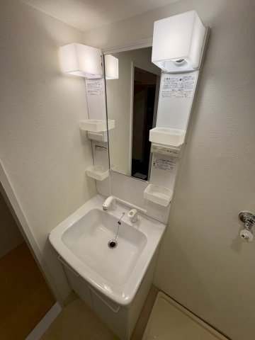 大阪市西区南堀江２丁目の賃貸マンションの洗面所