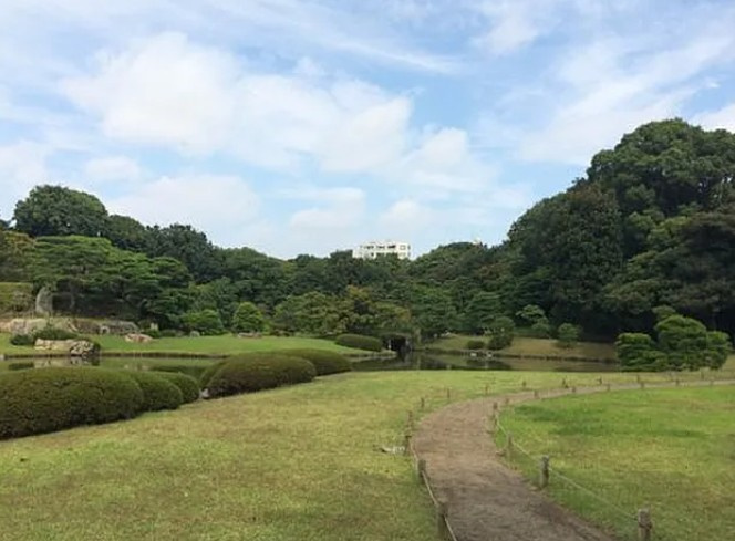 カーサブリランテ本駒込の展望
