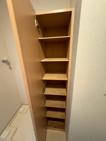 大阪市西区立売堀４丁目の賃貸マンションの収納