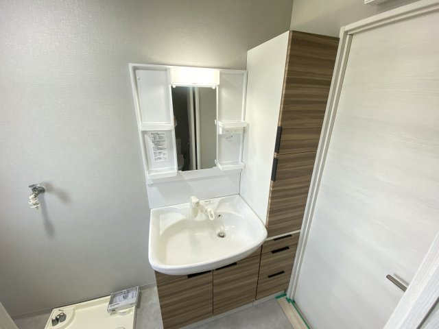 シャワー付きの洗面台です