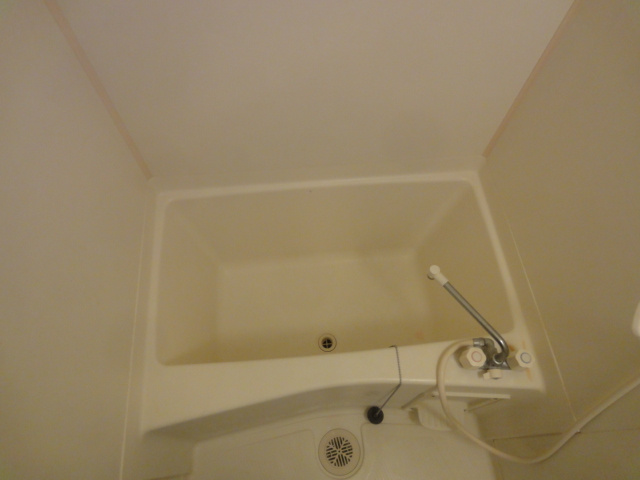 ロイヤルキャッスルの浴室