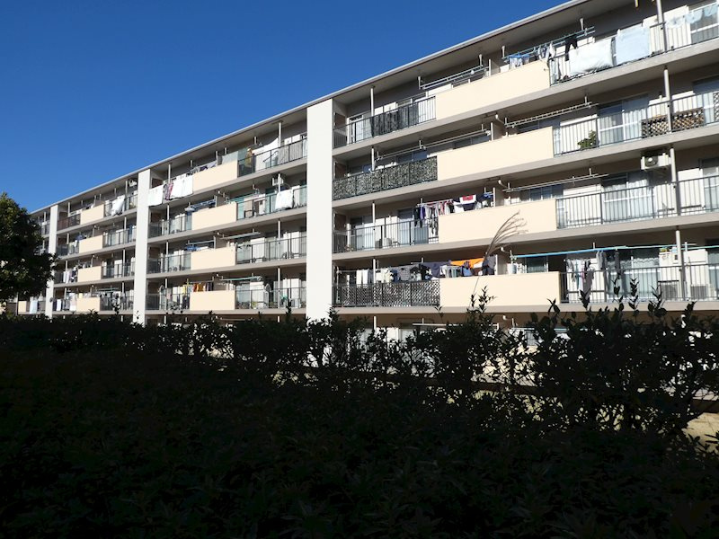 全面棟とも距離があり静かな住環境。日当たりも良好です。