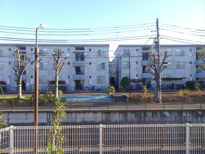 【展望】 | サニーサイドリバー