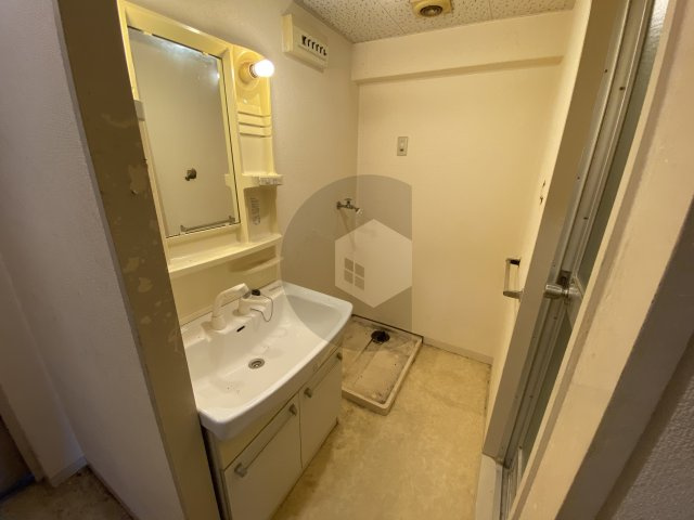 メゾン大邦の洗面所