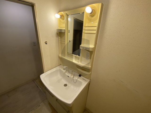 メゾン大邦の独立洗面台