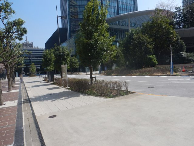 グランスイート虎ノ門のその他|前面道路