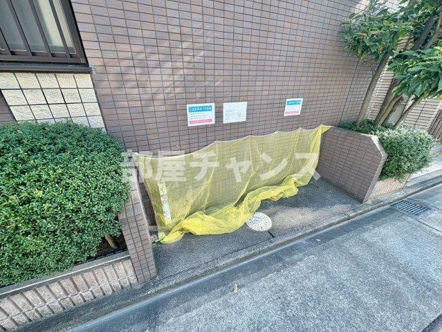 オンディーヌ花の木のその他