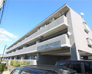 カトルセゾン中甚の画像