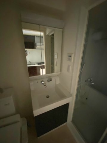 エステムプラザ名古屋・栄プレミアム　名古屋市賃貸　仲介手数料無料の洗面所