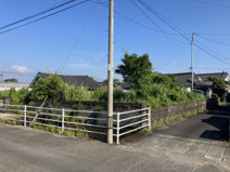 指宿市十町字流尻 土地の画像