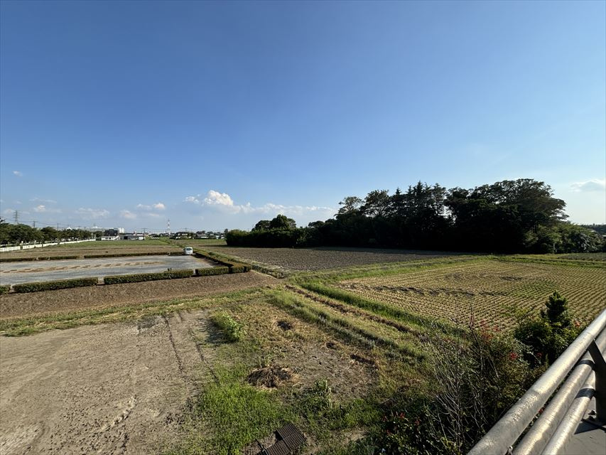 下高野貸店舗の庭