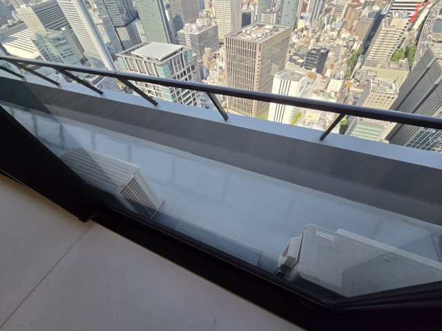 Brillia Tower 堂島（ブリリアタワー堂島）のその他