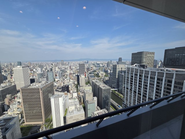 Brillia Tower 堂島（ブリリアタワー堂島）の展望