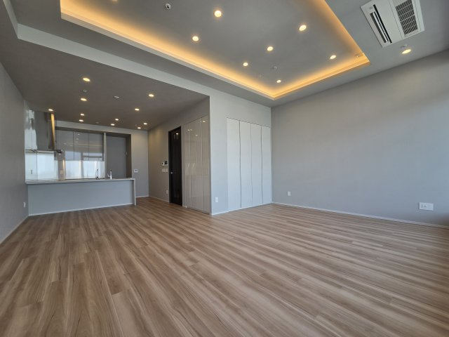 Brillia Tower 堂島（ブリリアタワー堂島）の居間・リビング