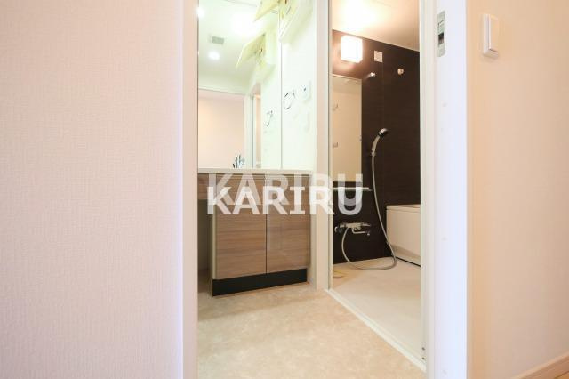 LaSante梅田北の洗面所