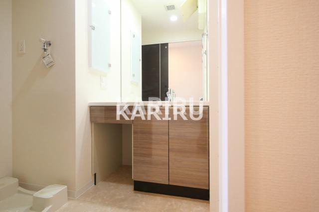 LaSante梅田北の洗面所