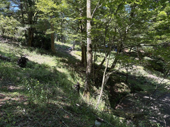 【外観】 | 東急天城高原別荘地　売地