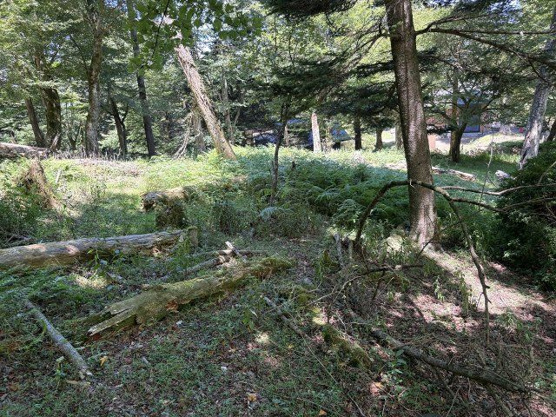 【外観】 | 東急天城高原別荘地　売地