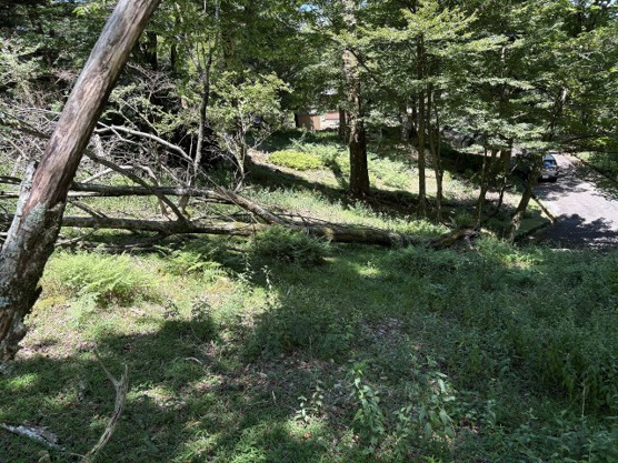 【外観】 | 東急天城高原別荘地　売地