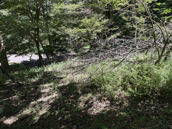 【外観】 | 東急天城高原別荘地　売地