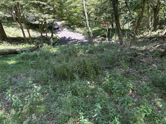 【外観】 | 東急天城高原別荘地　売地