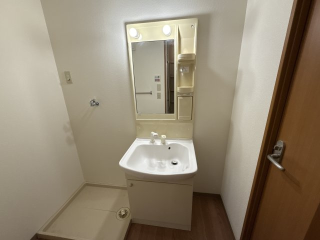 アベニール細江の洗面所