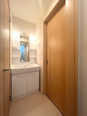 アイランド・ヴィレッジⅡの洗面所|使いやすい洗面所です