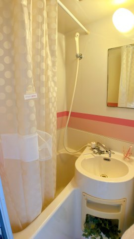 チェリークリークSTの浴室