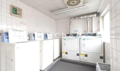 【その他】 | トップ蓮根ナンバー1(トップ蓮根NO1)